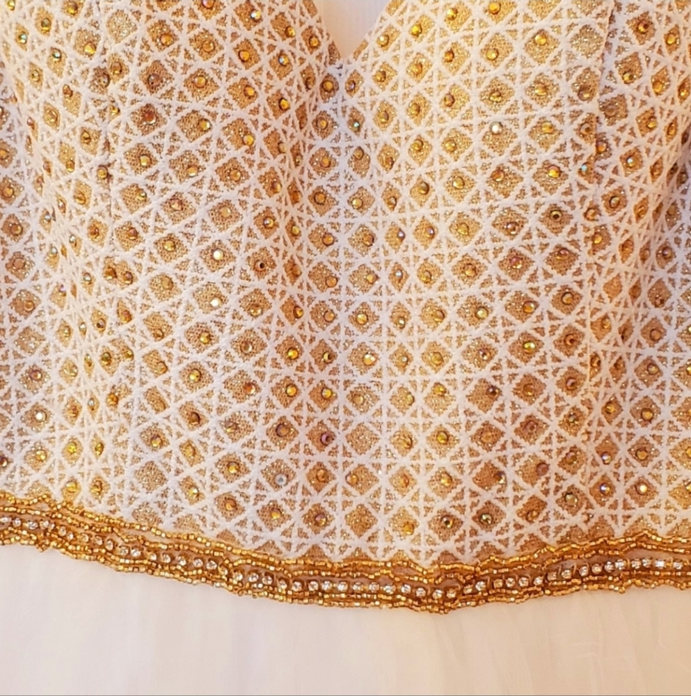 Vienna Prom Damaged Elegant Ivory and Gold Formal Prom | Wedding Gown - Picture 3 of 16